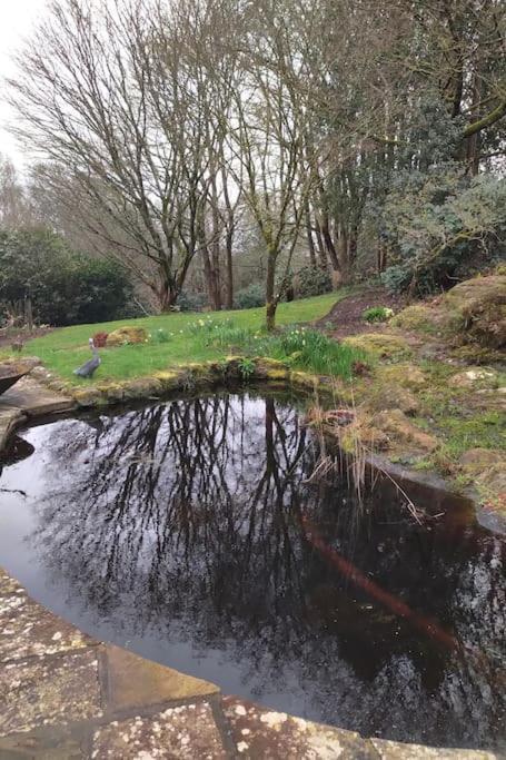 Modern Country Villa, Stunning Gardens And View Tunbridge Wells Extérieur photo