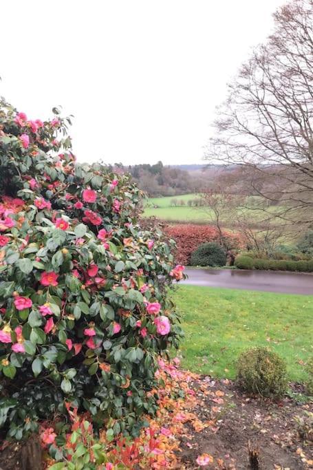 Modern Country Villa, Stunning Gardens And View Tunbridge Wells Extérieur photo